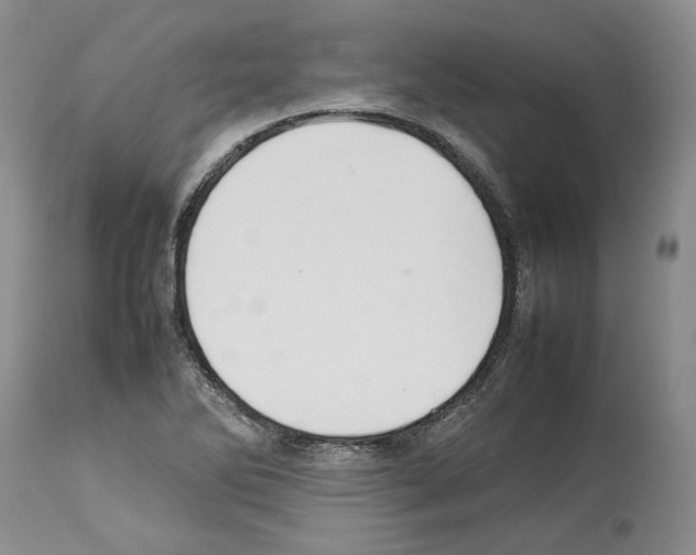 X0000114061270200911161120