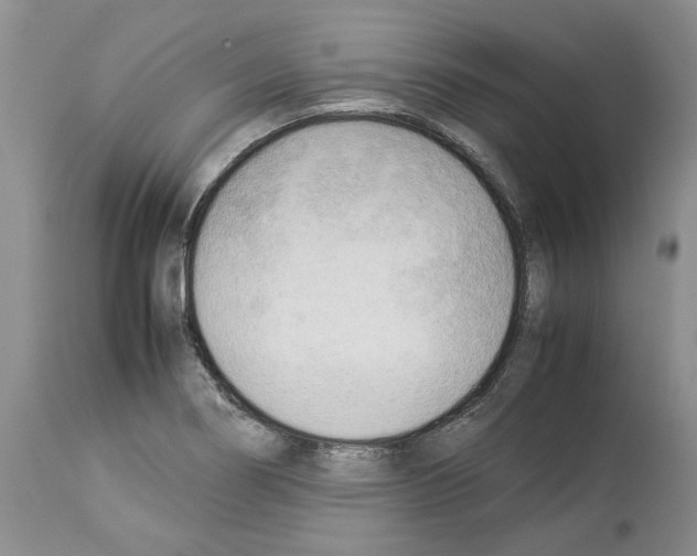 X0000114061274200911161120