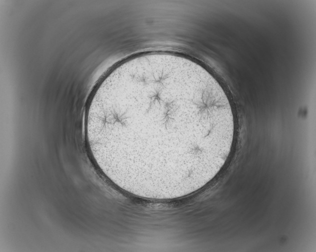 X0000114061275200911161120