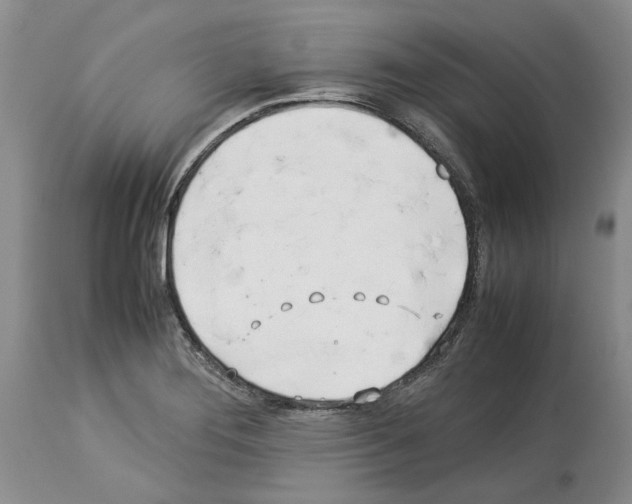 X0000114061276200911161120