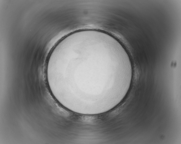 X0000114061278200911161120