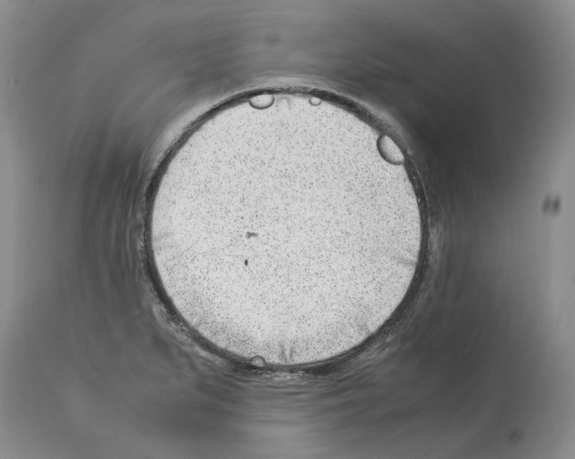 X0000114061279200911161120