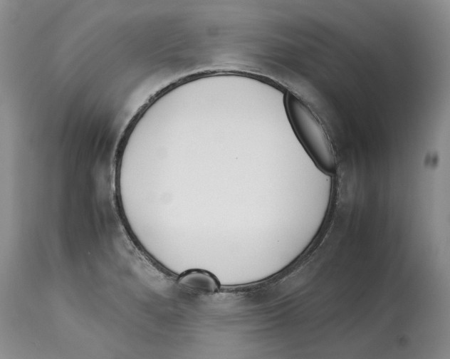 X0000114061280200911161120