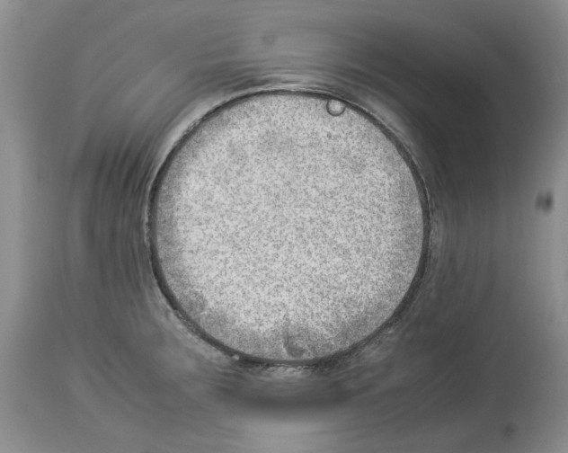 X0000114061283200911161120