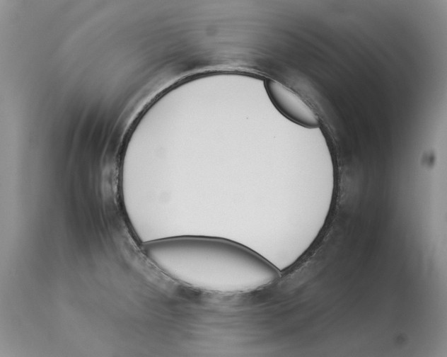 X0000114061284200911161120