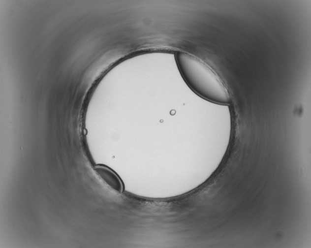 X0000114061285200911161120