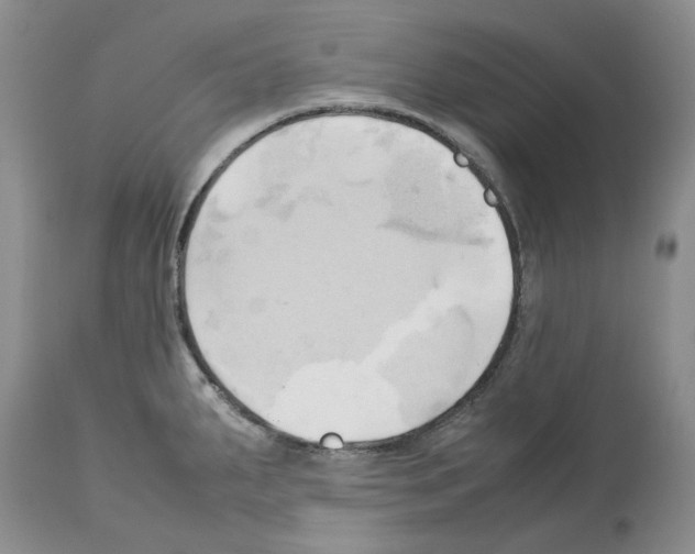 X0000114061287200911161120