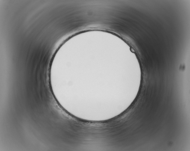 X0000114061288200911161120