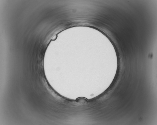 X0000114061289200911161120