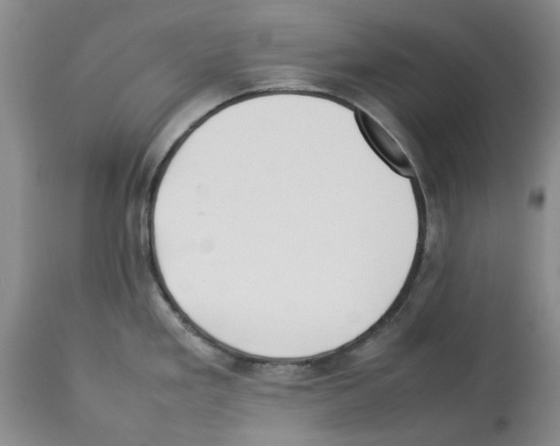 X0000114061293200911161120