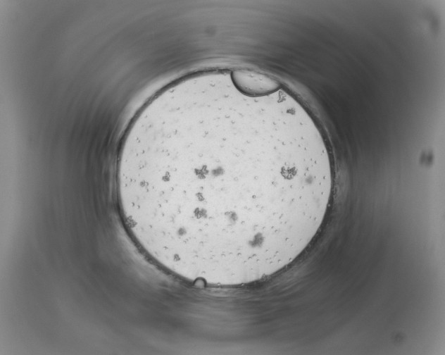 X0000114061295200911161120