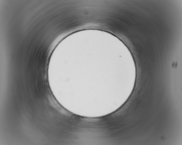 X0000114061296200911161120