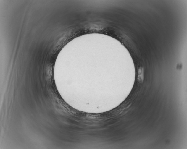 X0000114061299200911161119