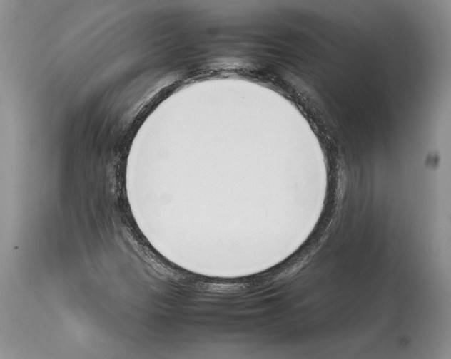 X0000114061305200911161119