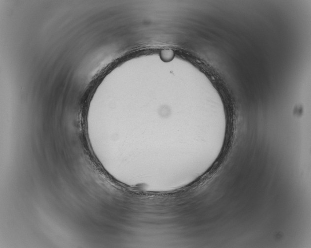 X0000114061306200911161119