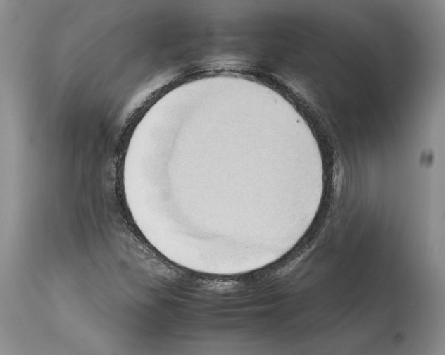 X0000114061309200911161119