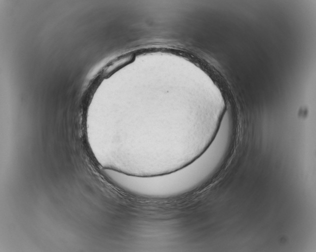 X0000114061310200911161119