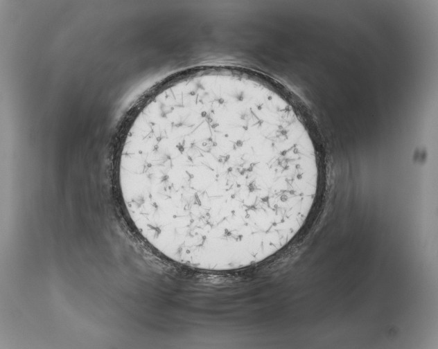 X0000114061311200911161119