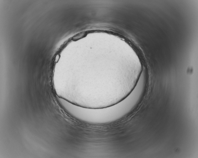 X0000114061312200911161119