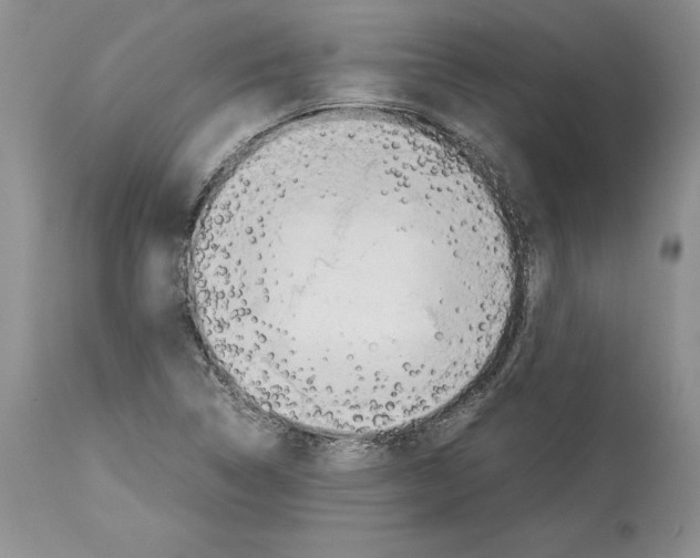 X0000114061314200911161119