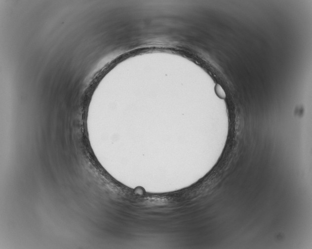 X0000114061315200911161119