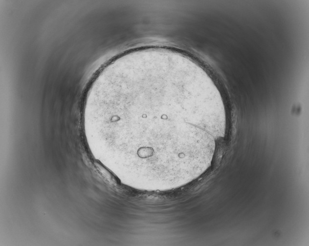 X0000114061318200911161119