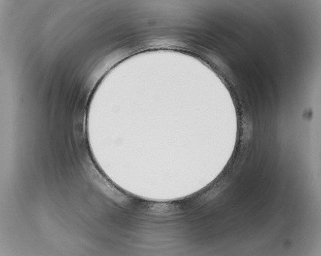 X0000114061322200911161119