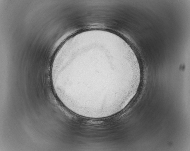 X0000114061325200911161119