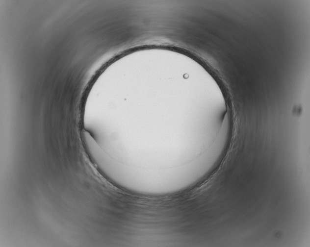 X0000114061326200911161119