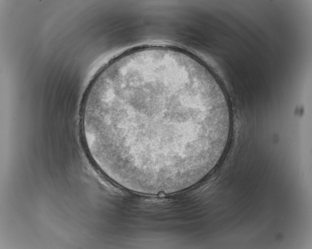 X0000114061327200911161119