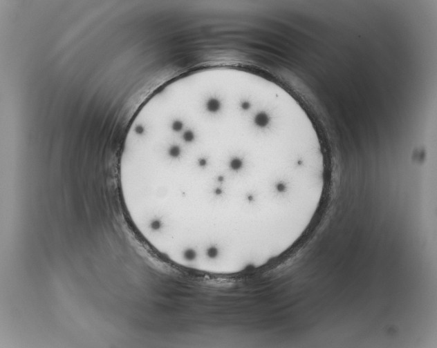 X0000114061329200911161120