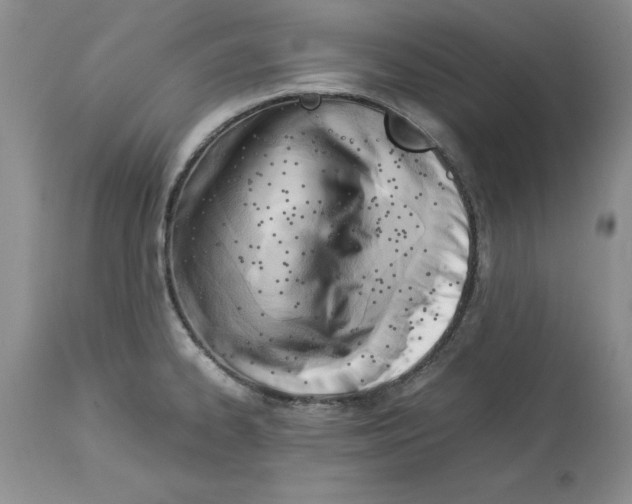 X0000114061334200911161120