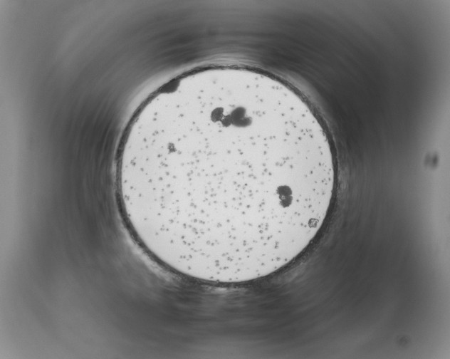 X0000114061335200911161120