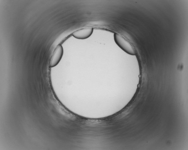 X0000114061336200911161120