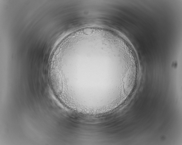 X0000114061338200911161120