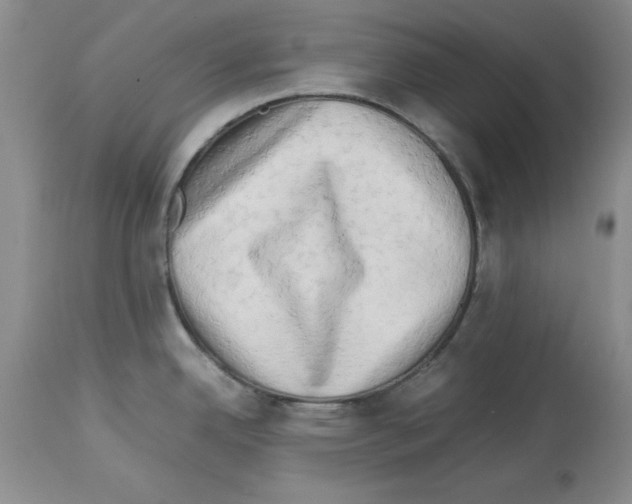 X0000114061342200911161120