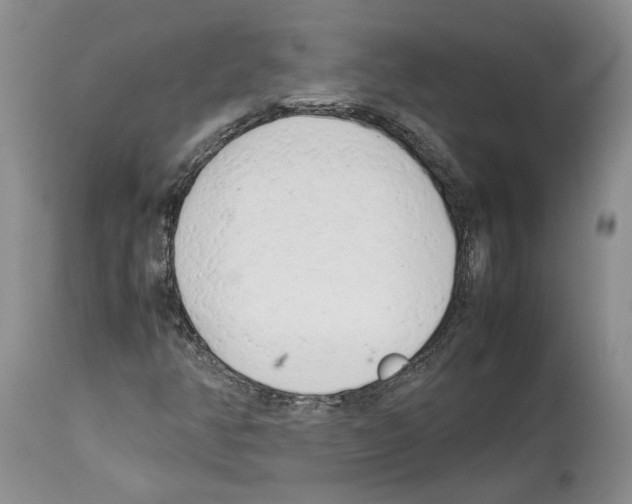 X0000114061350200911161119