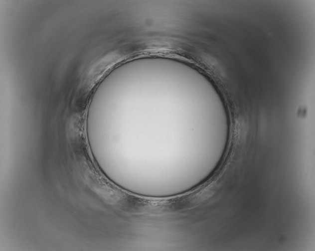 X0000114061353200911161119