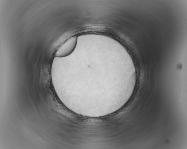 X0000114061354200911161119