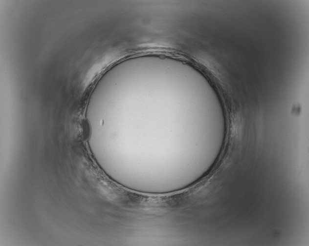 X0000114061357200911161119