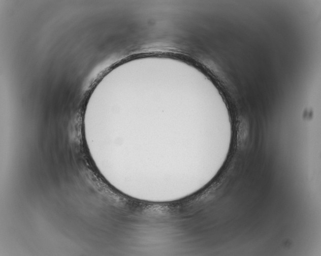 X0000114061358200911161119