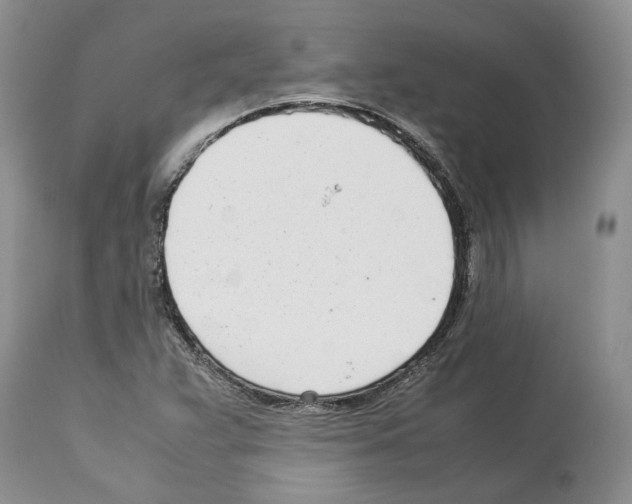 X0000114061359200911161119