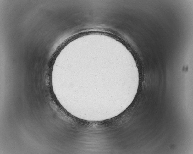 X0000114061360200911161119