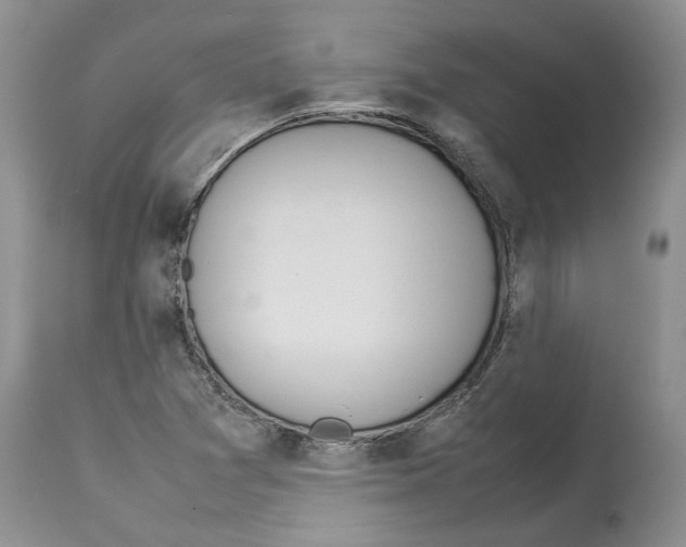 X0000114061361200911161119