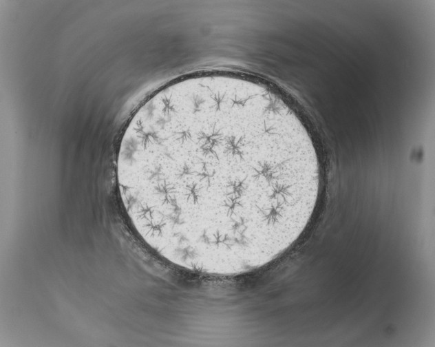 X0000114061363200911161119