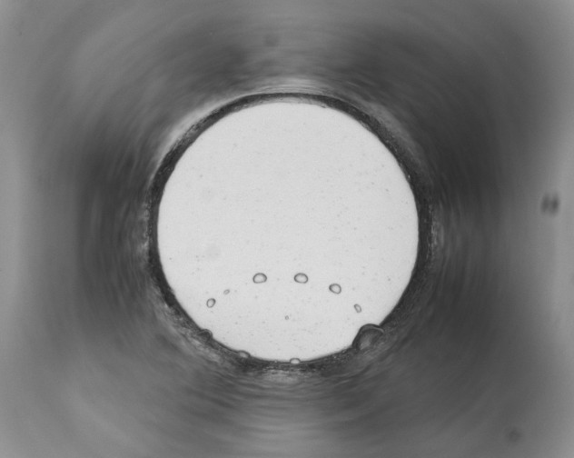 X0000114061364200911161119