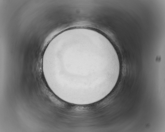 X0000114061366200911161119