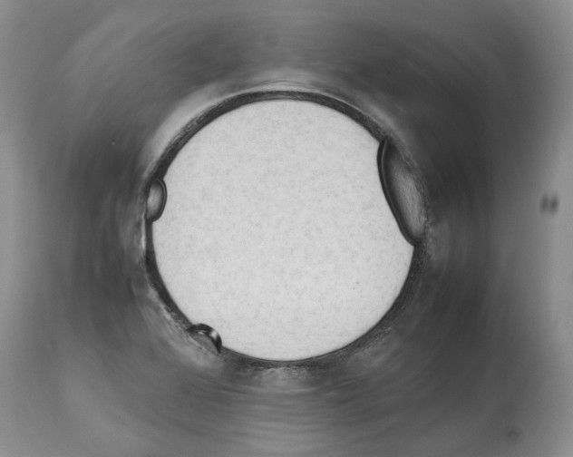 X0000114061368200911161119