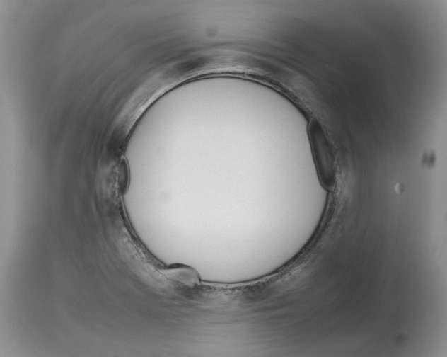 X0000114061369200911161119