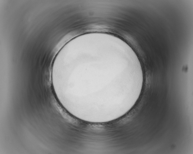 X0000114061370200911161119